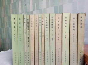 揭秘中国小说史料丛书 上海图书、音像与软件中的遗珠之珍